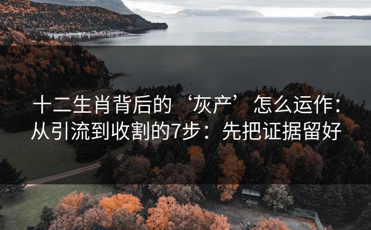 十二生肖背后的‘灰产’怎么运作：从引流到收割的7步：先把证据留好